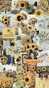 N A T H A L I A D I N I Z Nathaliardiniz Fotos E Videos Do Instagram Sunflower Wallpaper Iphone Wallpaper Yellow Aesthetic Iphone Wallpaper