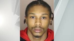 Albany man arrested for stealing license plates