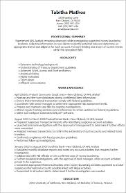 Create a professional resume in minutes, download, and print. Aml Analyst Resume Example Myperfectresume