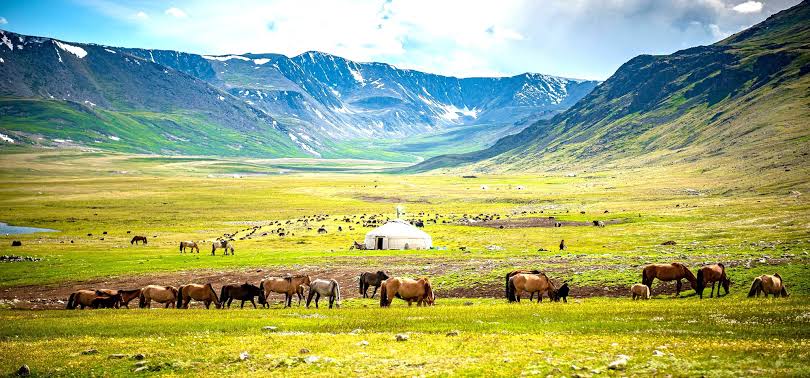 Mongolei – Weite der Steppe, Leben der Nomaden