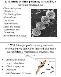 Image result for Paralytic Shellfish Poisoning