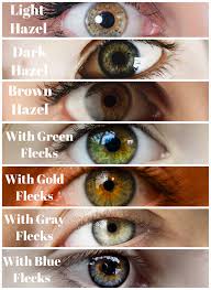 what is the best hair color for hazel eyes hair adviser