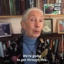 Dr. Jane Goodall Shares Message