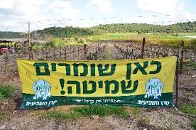 חב"ד | עמדה שבועית | שנת שמיטה, שנת רוגע