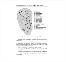 7 reflexology chart templates doc pdf free premium