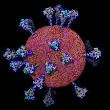 Maybe you would like to learn more about one of these? The Coronavirus Unveiled Microscopic Images Of Sars Cov 2 The New York Times