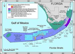 Ecoscenario Florida Keys National Marine Sanctuary