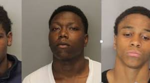 3 sentenced in Cobb armed carjacking, break-ins