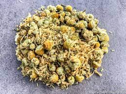Chamomile is one of the most popular herbs in the world. How And When To Harvest Chamomile Getty Stewart