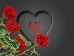 Images of red rose, red rose flowers, red rose hd, pictures, wallpaper, photos, i love you. Romantic Red Rose Heart Wallpaper Red Rose Wallpaper Hd Love 4000x3000 Download Hd Wallpaper Wallpapertip