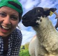 Gleann na nGealt Sheepfarm B/B Dingle Peninsula【 Camp, Ireland  】𝗕𝗲𝗱𝗿𝗼𝗼𝗺𝗩𝗶𝗹𝗹𝗮𝘀