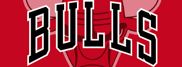 Image result for chicago bulls