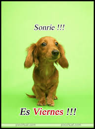 Resultado de imagen de viernes gif