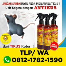 Pin Di Cairan Racun Pengusir Tikus