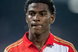 371 Fotos de Stock de Melvin