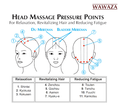 Japanese Five Row Tsuge Wood Brush Massage Therapy Techniques Massage Pressure Points Massage Therapy