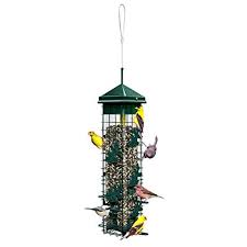 No need to go out and buy special feeders or get rid of the bird feeders you already love. Squirrel Proof Bird Feeder Walmart Com Walmart Com