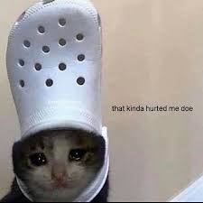 That Kinda Hurted Me Doe Really Funny Memes Snapchat Funny Memes