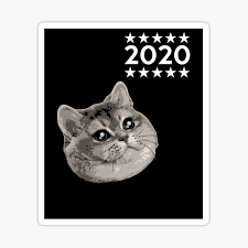 #1 done buying things for cat.#2 wearing enemies fur.#3 shocking.#4 black cat problems.#5 how to know your cat is fat.#6 curious cat.#7 funny. Funny Clean Animal Memes Stickers Redbubble