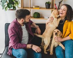 Our veterinarians oversee and manage all care at integrative pet care, collaborating with referring veterinarians, pet owners, physical therapists, animal memberships: Find The Best Local Pet Sitter Pet Sitters International