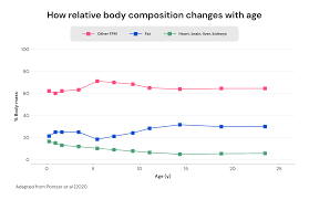 Image result for Body Composition Changes with Aging