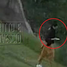 Intanto, è avvenuta oggi la consegna da parte della polizia francese ai. Saman Abbas Il Fidanzato Mi Aveva Detto Ho Un Padre Di M A Tgcom24