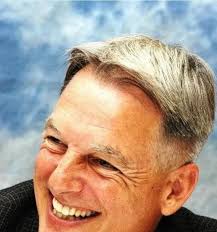 Love is our true destiny❤️❤️ If you still believe I'm a good Actor and I  remain your NCIS favorite, I need a huge !!! Yes!!!💯🥰 🙌