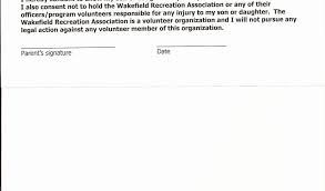 Release Of Liability Statement Sample or Release Liability form Car ...