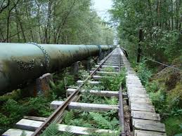 Image result for flørli