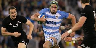 Petti n (genitive singular pettis, plural petti or pettir). Guido Petti Wins Argentina Player Of The Year Americas Rugby News