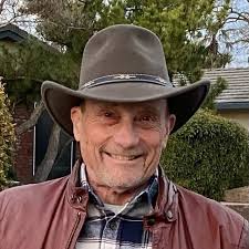 In a dramatic video shared to social media, 73-year-old Jill Stein can be  seen among the group of protesters shoved backwards by police officers, who  used a bike to force them back.