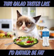 Pin On Grumpy Cat