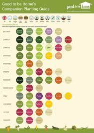 Pin On Gardening
