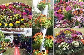 How to attract butterflies to your garden in india. 12 Tips To Attract Butterflies To Your Garden Homeonline