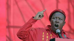 Aug 12, 2021 · julius malema is a south african activist and politician. Wahlen In Sudafrika Der Anti Mandela Cicero Online
