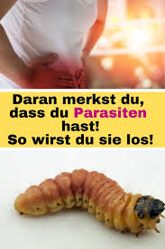 Würmer sind parasiten und können bei menschen erheblichen schaden anrichten und wurminfektionen verursachen. Tiere Die Niemand Braucht