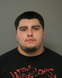 ABREGO, DANIEL MARIO 23 HISPANIC M CHARGES: 720 ILCS 570.0/402-C PCS