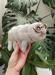 Tardigrade Marine Biology Gifts Molecular Biology Chemistry Etsy Science Teacher Gifts Biology Gift Medical Student Gift