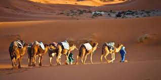 Pin On Morocco Desert Tours Online Booking