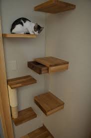 Secret Drawer Ideas Perfect For Hiding Things In Plain Sight Cat Wall Shelves Cat Room Cat Shelves