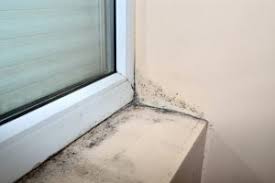 Schimmel hinterm schrank der beste weg of erstellen das haus erscheinungsbild fresh wird zu upgrade das stück der möbel mit jedem ahreszeit. Schimmel Hinterm Schrank Was Ist Zu Tun