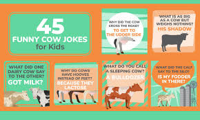 45 Funny Cow Jokes For Kids Kid Activities