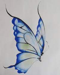 Image Result For Butterfly Drawings With Color Blue Butterfly Art Drawing Butterfly Drawing Butterfly Sketch