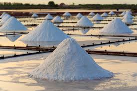 Salt Trade —The Great Indian Hedge ...