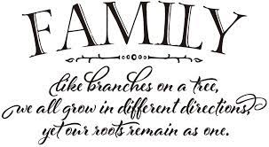 Family like branches on a tree, we all grow in different directions yet our roots remain as one. Amazon Com Family Like Branches On A Tree We All Grow In Different Directions Yet Our Roots Remain As One Vinyl Wall Decals Quotes Handwriting Art Letters Wall Sayings Home Decor Arts