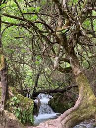 El benamahoma rural se encuentra en benamahoma, a 6 km de el bosque, y ofrece zona de barbacoa y wifi gratuita todos los alojamientos cuentan con. Libre Fuente Del Nacimiento Benamahoma Casas Rurales En La Sierra De Grazalema Facebook
