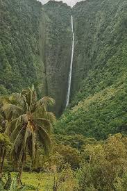 The western area is in the cordillera de la costa mountains. What Is The Definition Of Rainforest In Geography