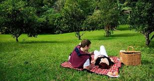 Picnic romántico: Ideas para disfrutar al aire libre con esa persona  especial