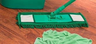 Call jdm pest control for a safe pest control treatment in vaughan. Pest Control Recommendations For Home Rentokil Singapore