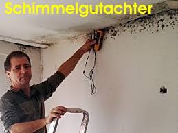 Schimmel entsteht immer dort, wo sich zu viel feuchtigkeit ansammelt und nicht mehr trocknet. Schimmel Wohnung Uberall Schimmelbefall